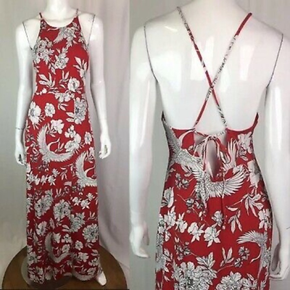 Express Maxi Dress
